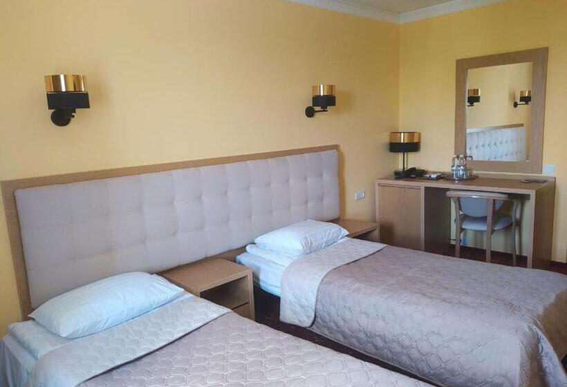 اتاق استاندارد با چشمانداز شهر, Ternopil