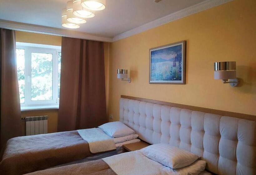 اتاق استاندارد با چشمانداز شهر, Ternopil