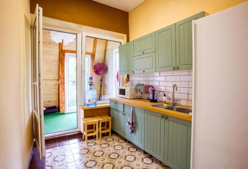 اتاق استاندارد, Ternopil