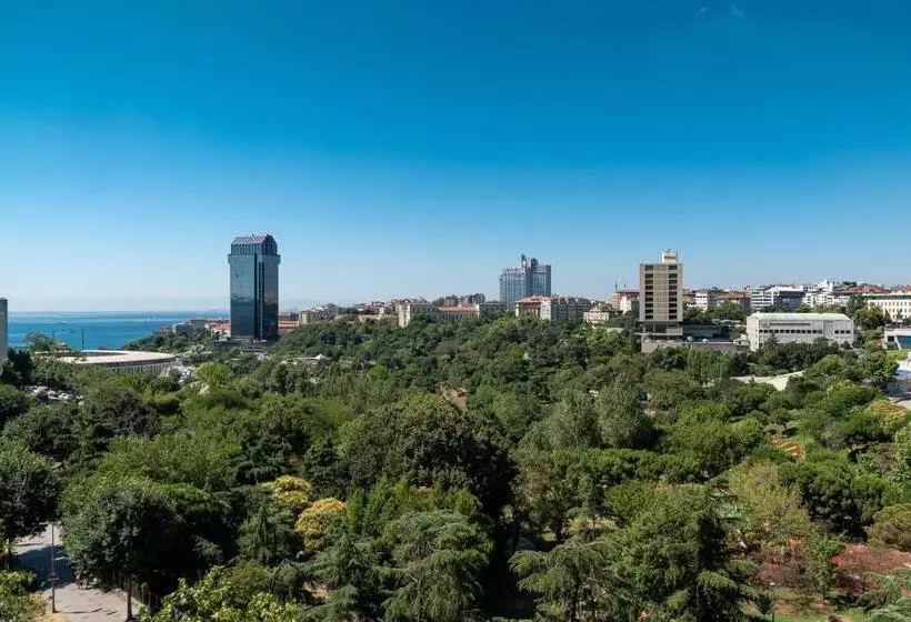 キングサイズベッドのデラックスルーム, The St. Regis Istanbul