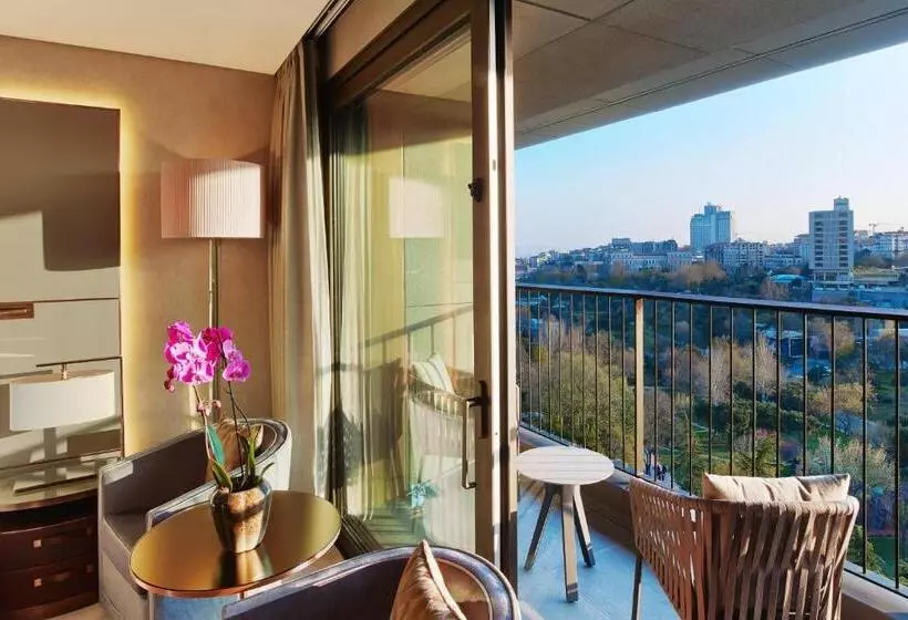 パークビューのデラックスルーム, The St. Regis Istanbul