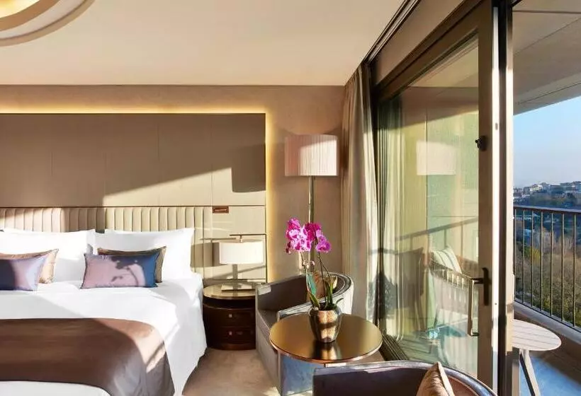 パークビューのデラックスルーム, The St. Regis Istanbul