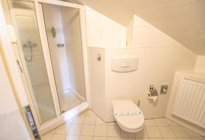 スタンダードトリプルルーム, šumava Inn