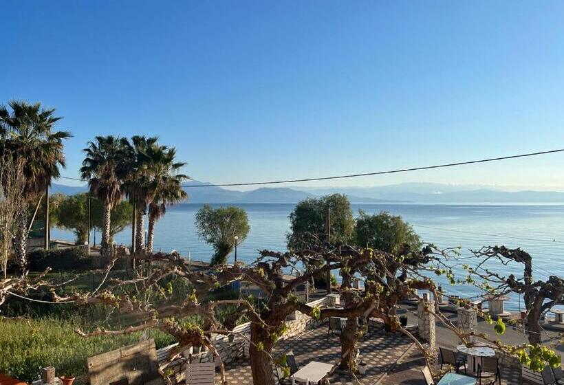 オーシャンビュースタンダードルーム, Panorama Hotel   Restaurant