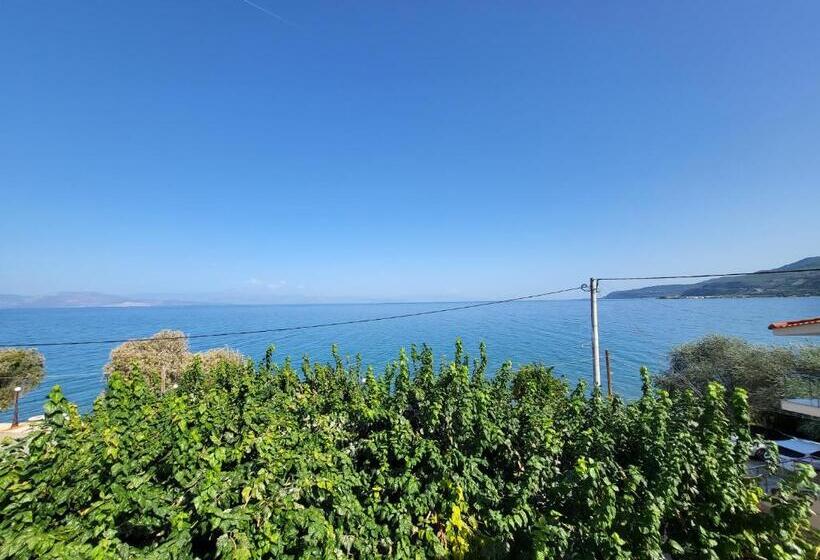 オーシャンビュースタンダードルーム, Panorama Hotel   Restaurant