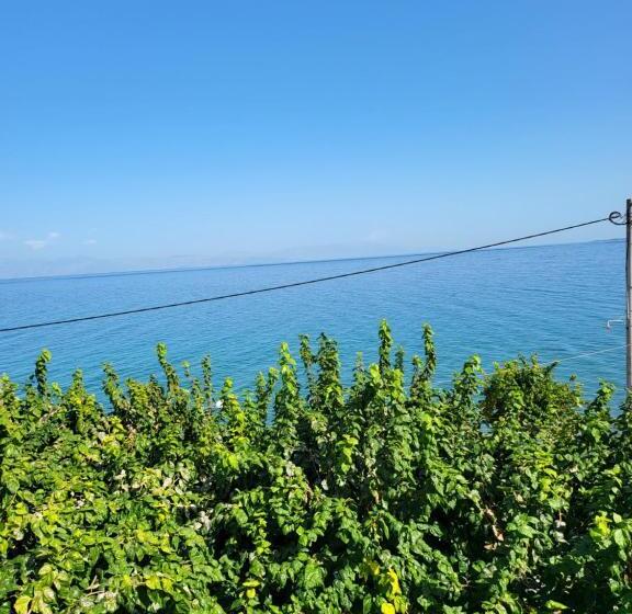 オーシャンビュースタンダードルーム, Panorama Hotel   Restaurant