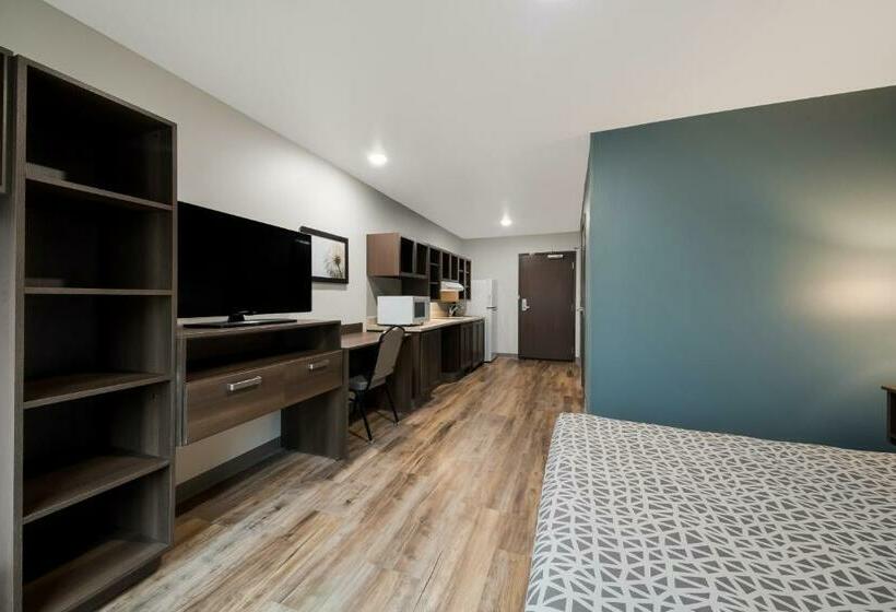 سوییت, Woodspring Suites San Antonio Utsa   Medical Center