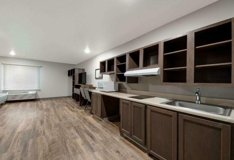 Suíte, Woodspring Suites San Antonio Utsa   Medical Center