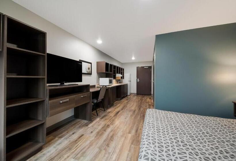 سوئیت برای معلولان, Woodspring Suites San Antonio Utsa   Medical Center
