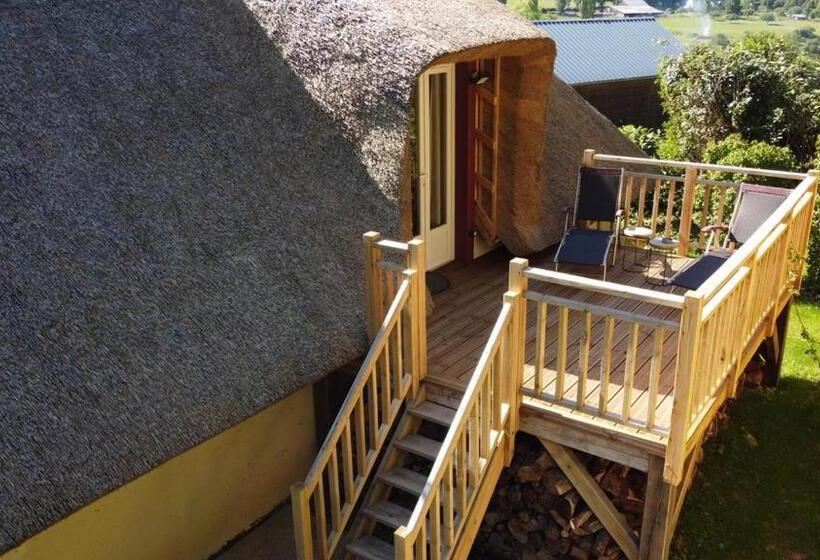 Полулюкс Одноместный с Террасой, La Fontaine Romy