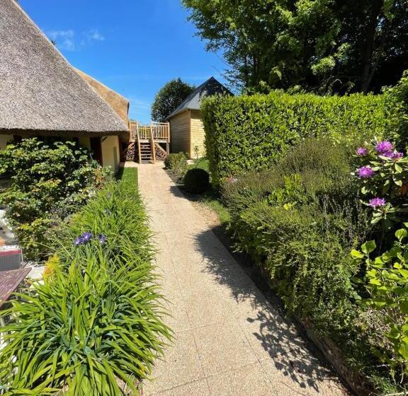Полулюкс Одноместный с Террасой, La Fontaine Romy