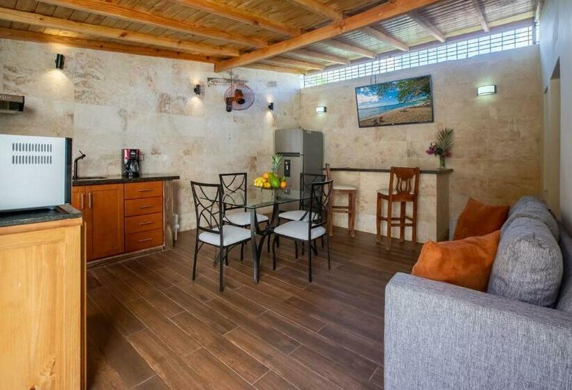 اتاق استاندارد, Room In Guest Room Nice 1br 1bt With Common Picuzzi