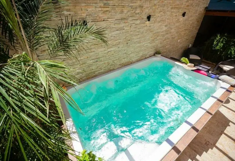 اتاق استاندارد, Room In Guest Room   Nice 1br 1bt With Common Picuzzi