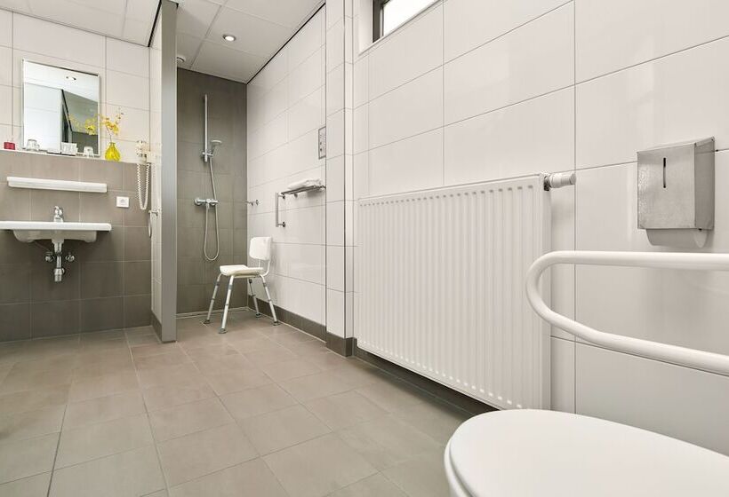 Номер Стандарт Адаптированный для Инвалидов, Babylon Heerhugowaard   Alkmaar