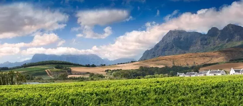 ファミリールーム, Babylonstoren