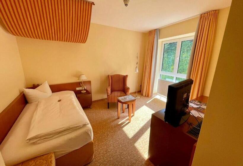 חדר סטנדרט יחיד, Burgblick