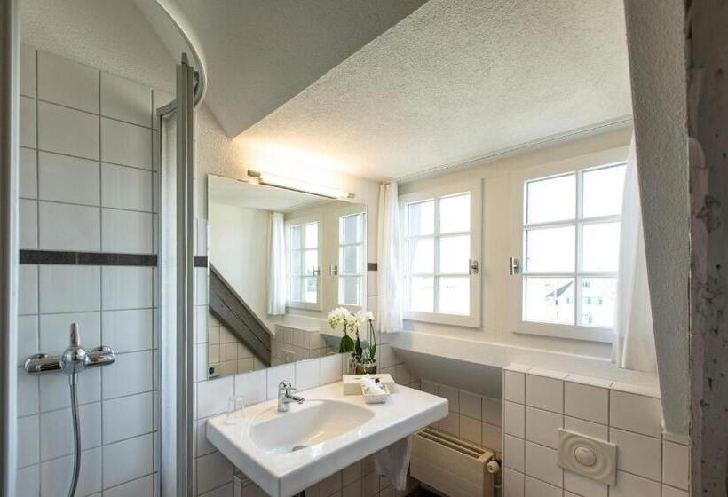 스탠다드 싱글 룸, De Charme Romerhof