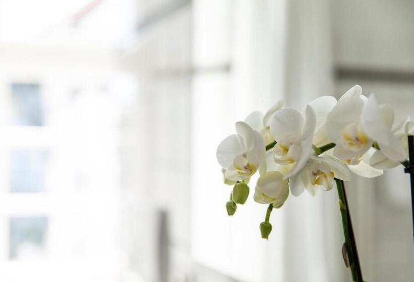 디럭스 룸, De Charme Romerhof