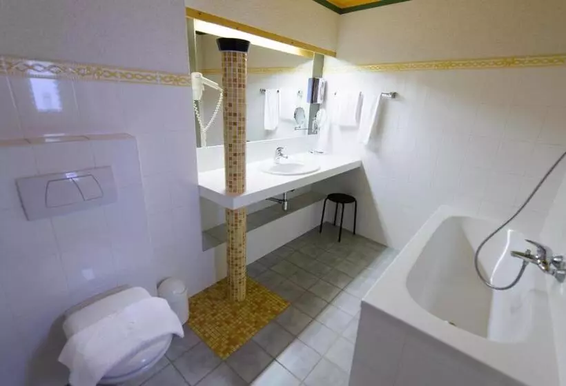 Standard-huone, Gasthof Hotel Zweimüller