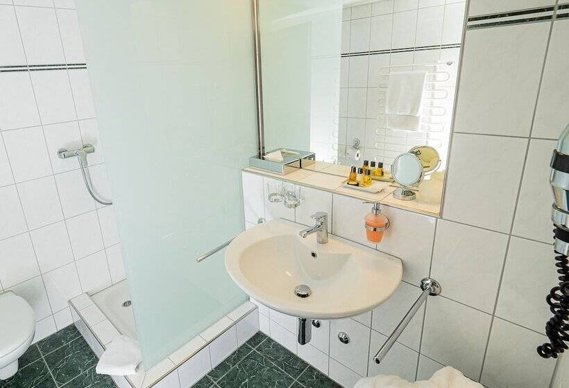 غرفة قياسية, Rhyhof