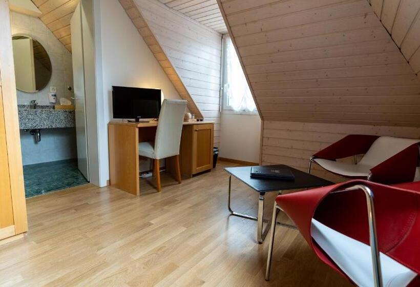 غرفة سوبيريور, Hôtel Du Cheval Blanc   City Center