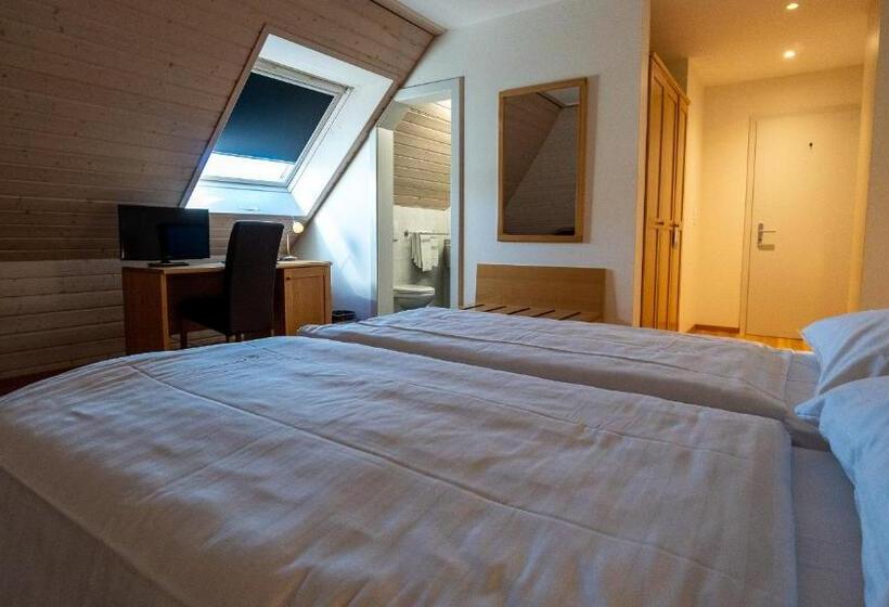 غرفة سوبيريور, Hôtel Du Cheval Blanc   City Center