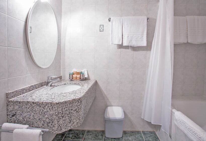 اتاق سوپریور, Hôtel Du Cheval Blanc   City Center