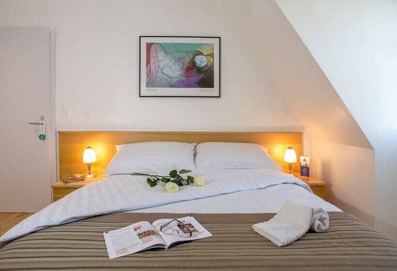 اتاق سوپریور, Hôtel Du Cheval Blanc   City Center