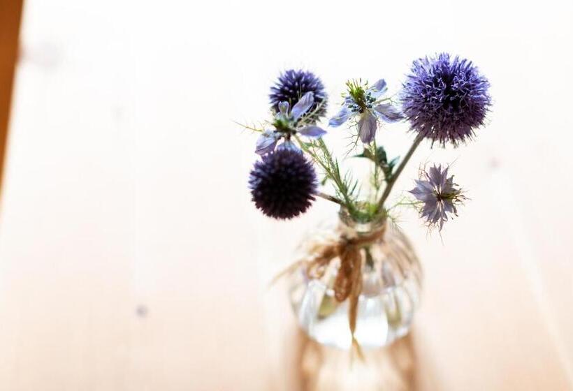 로맨틱 룸, Meisser Romantica Adults Only