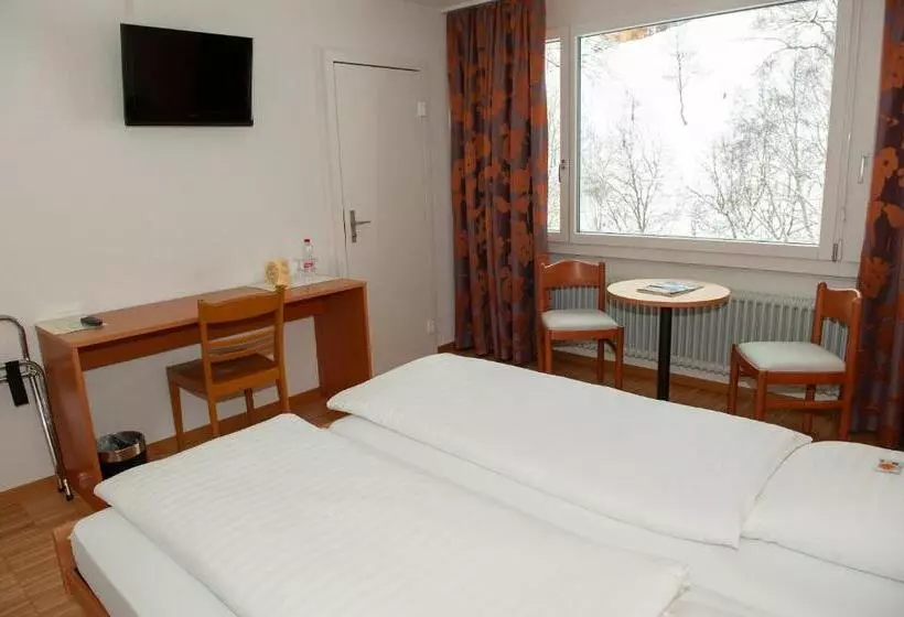 Habitación Estándar, Sporting