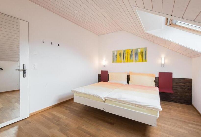 غرفة قياسية فردية, Thorenberg