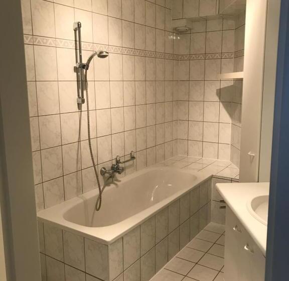 Apartamento 1 Dormitório, Tongerlo