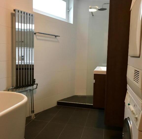 带1个卧室的豪华公寓, Tongerlo