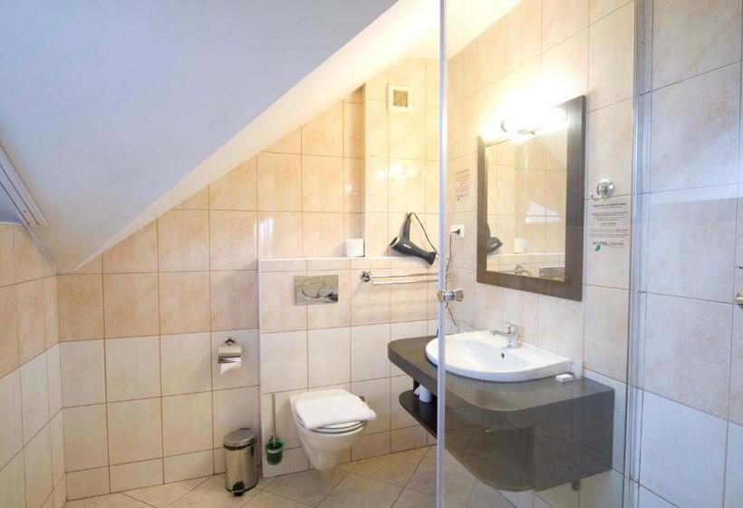 غرفة قياسية فردية, Zimnik Luksus Natury Spa & Wellness