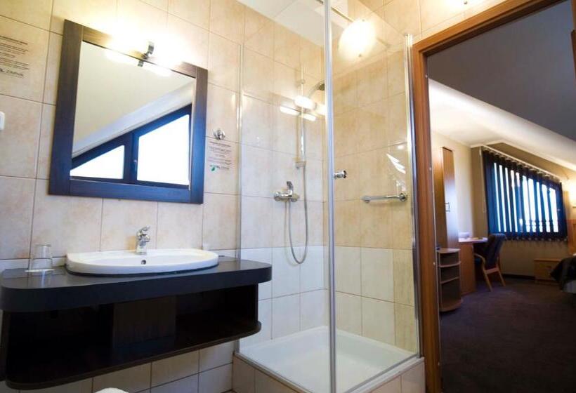 חדר סטנדרט יחיד, Zimnik Luksus Natury Spa & Wellness