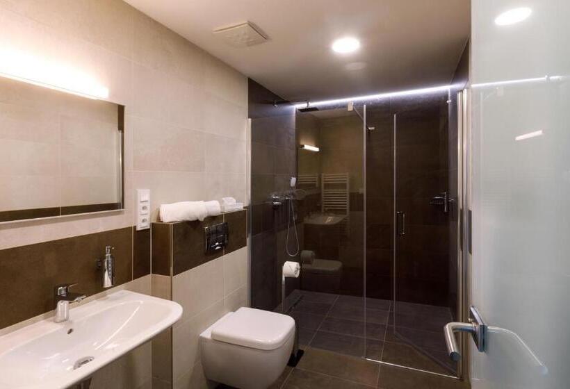 带1个卧室的豪华公寓, Sporthotel Olympia
