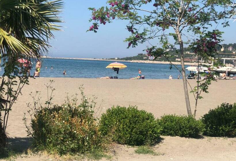 패밀리 스위트, Mario, Shengjin