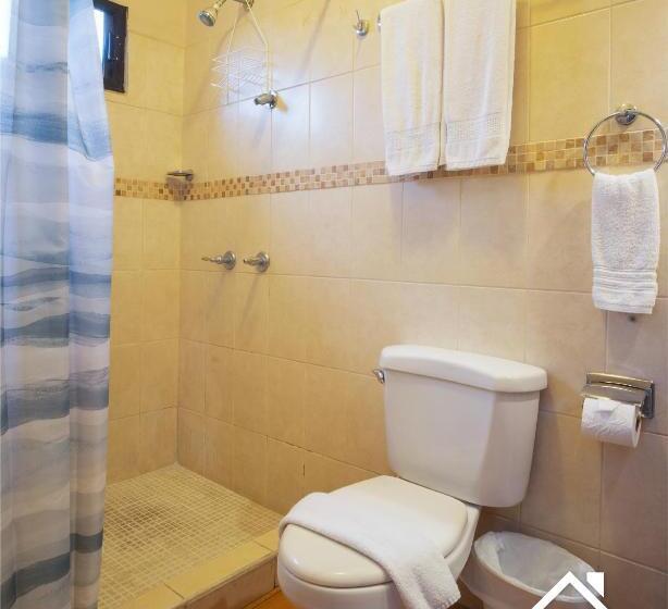 اتاق استاندارد با 2 تخت دوبل, Apart Hotel La Trejo