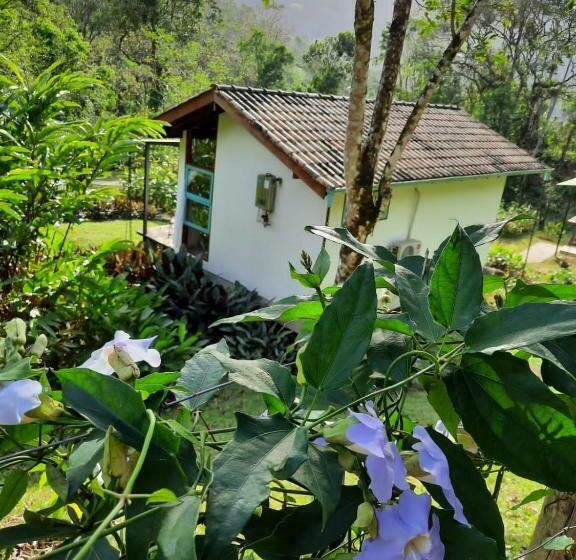 חדר סטנדרט עם מרפסת, Paiol Eco Suites