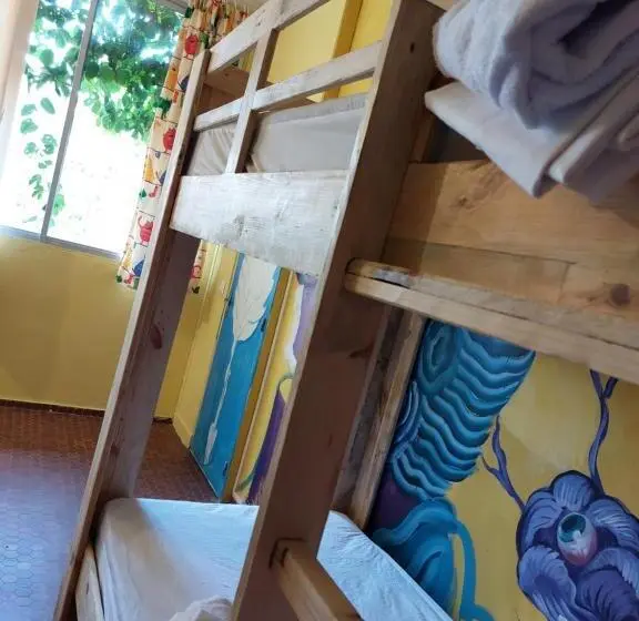 تختخواب در اتاق مشترک, The Green Hostel