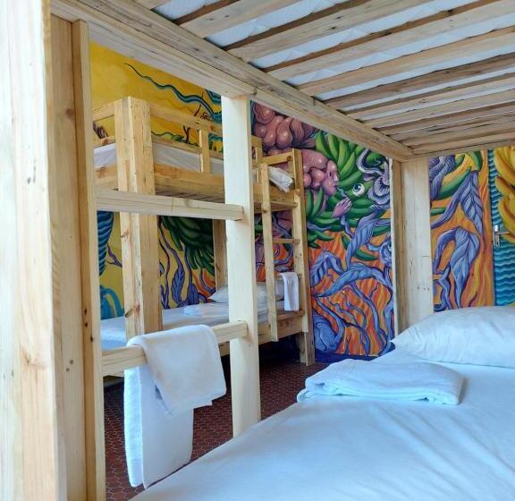 تختخواب در اتاق مشترک, The Green Hostel