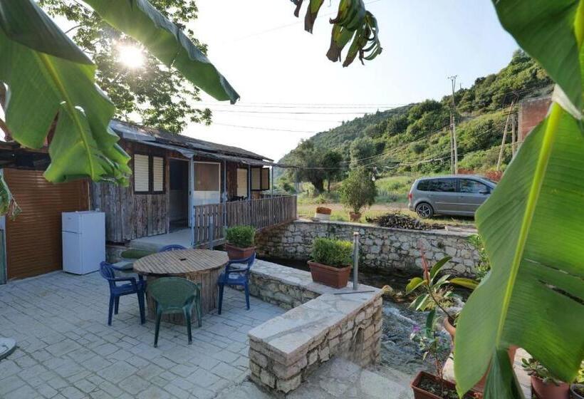 بانگلوی استاندارد, Tropikal Freskia Bunec