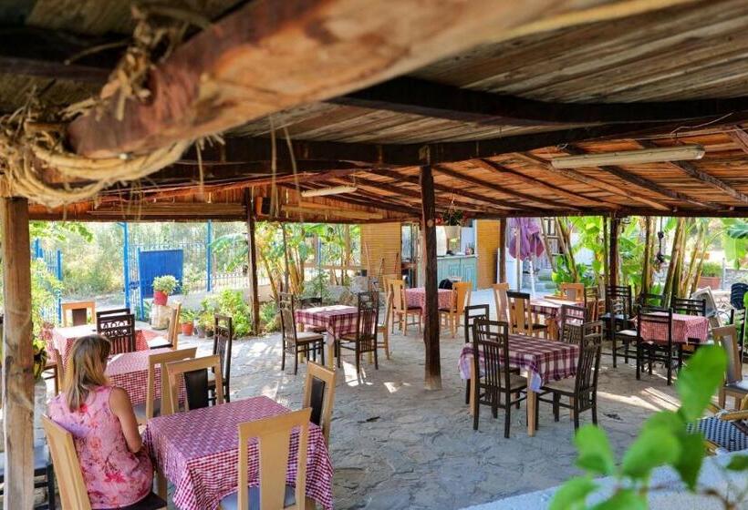 بانگلوی استاندارد, Tropikal Freskia Bunec