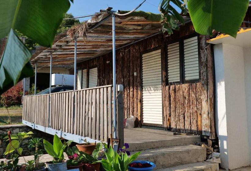 بانگلوی استاندارد, Tropikal Freskia Bunec