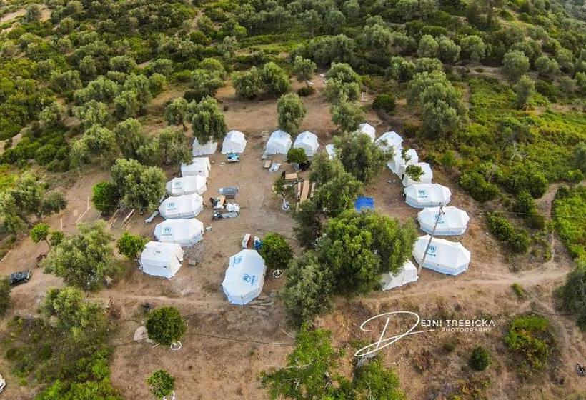 چادر با خدمات رفاهی استاندارد, Tropikal Freskia Bunec