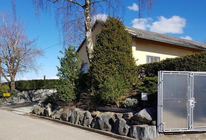 Апартаменты 1 Спальня с Террасой, Ferienwohnung Rombachs Spatzennest