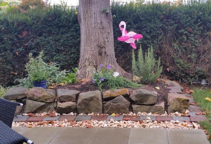 Апартаменты 1 Спальня с Террасой, Ferienwohnung Rombachs Spatzennest