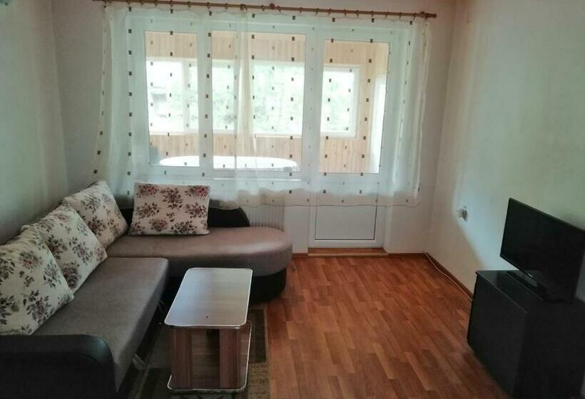 エコノミー4人部屋, Casa Ddm Daniel