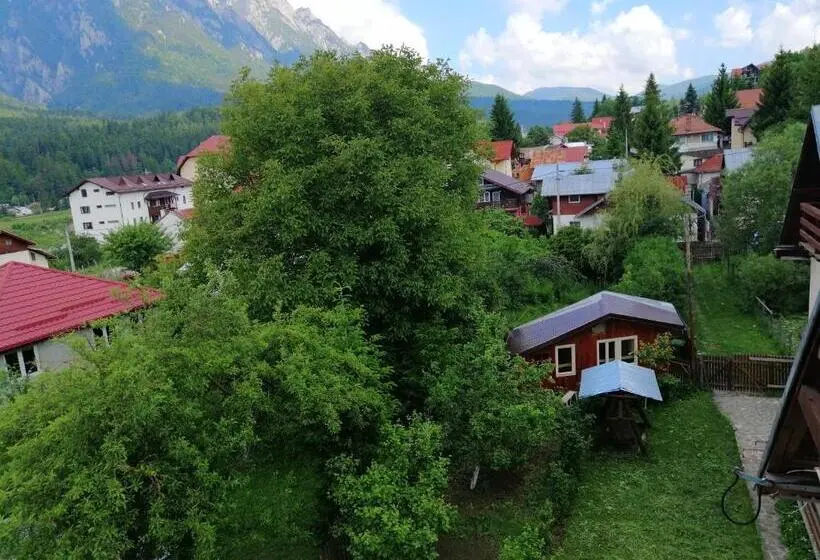 Apartament 1 Sypialnia z Widokiem, Casa Ddm Daniel