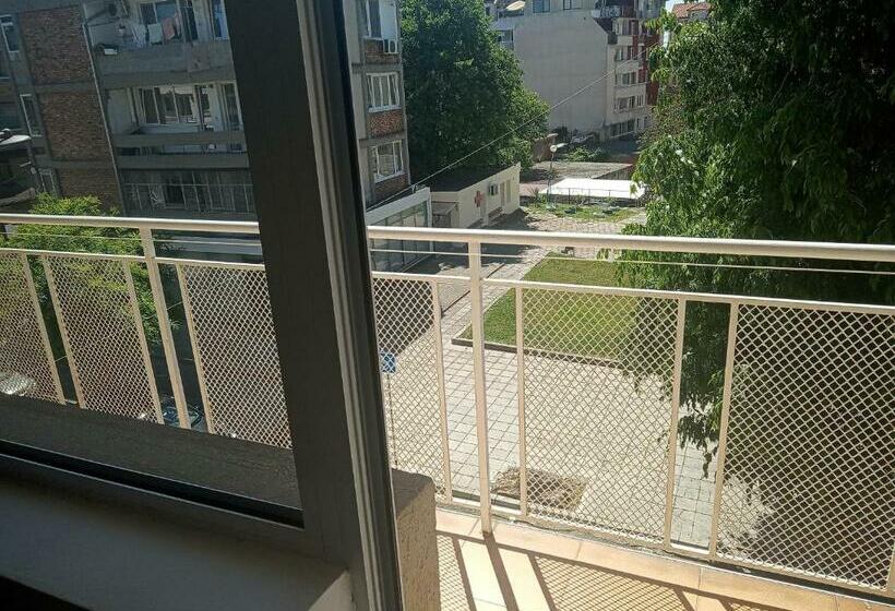Номер Стандарт, Despina